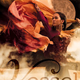 Image for article titled In new fantasy novel Vessel, the hunt is on for a missing goddess